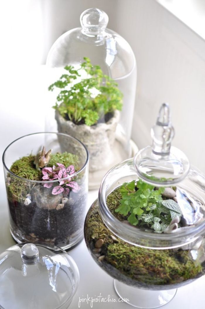 decoration-diy-easter-terrariums-ideas-with-unique-glass-jars-and-moss-featuring-herbal-plant-and-soil-create-easy-easter-terrarium-decorations-5921172