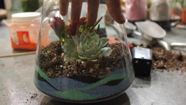 kak-sdelat-terrarium-9436574