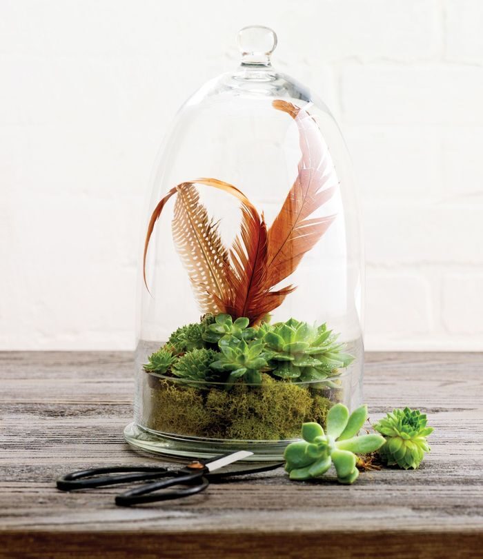 simple-pleasures-indoor-garden-terrarium-april-13-p210-2216843