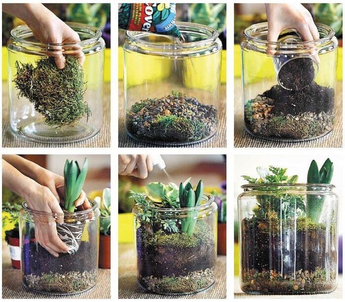 terrariums1-7383402